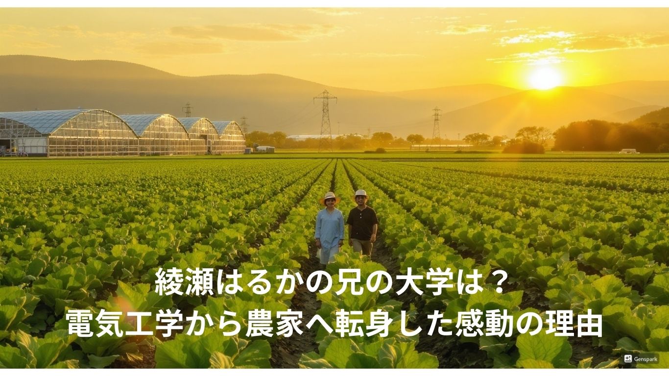 綾瀬はるかの兄の大学は？