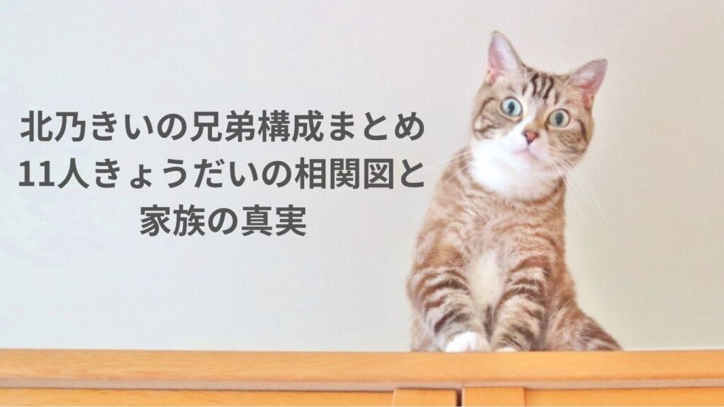 北乃きいの兄弟構成まとめ