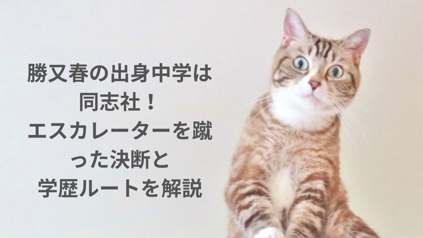 勝又春の出身中学は同志社