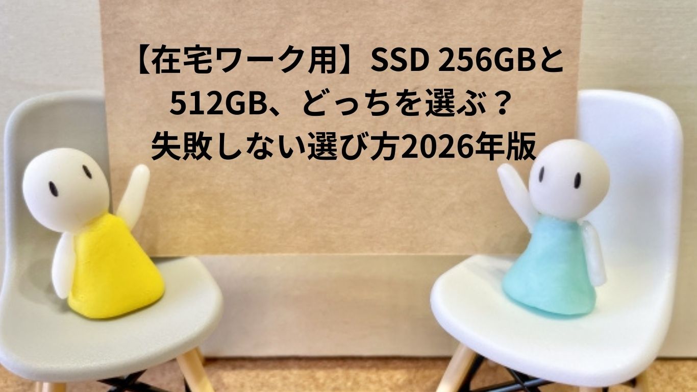 SSD256GBvs512GB失敗しない選び方